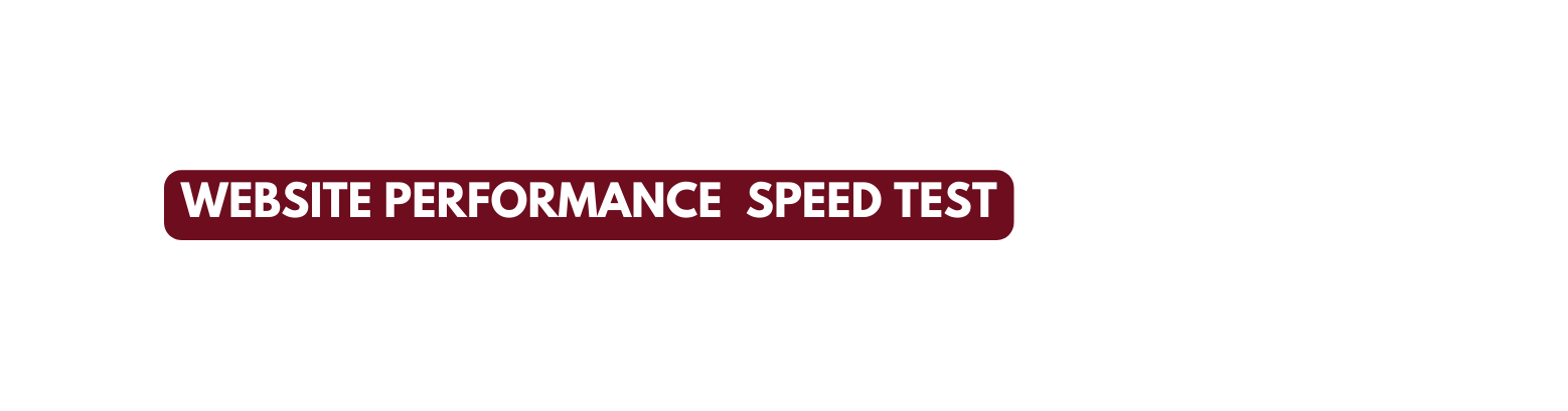 WEBSITE PERFORMANCE SPEED TEST